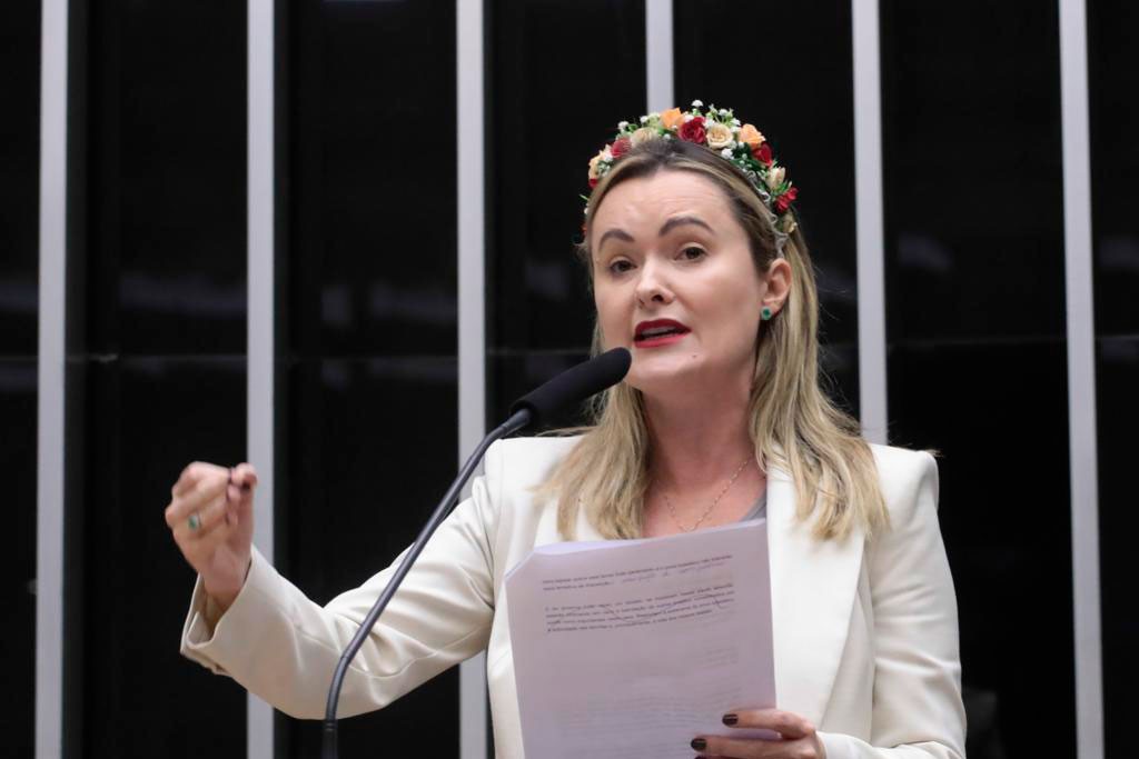 Câmara deve avançar com projeto que pune falsas denúncias na Lei Maria da Penha