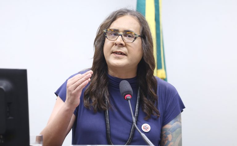 Duda Salabert defendeu um marco legal para a educação de jovens e adultos